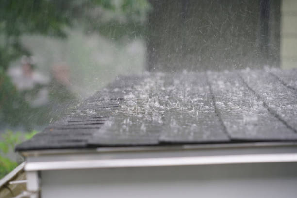 Best Metal Roofing Installation  in Fort Pierce North, FL